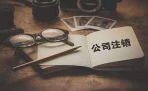 蕪湖繁昌區分公司如何注銷清算