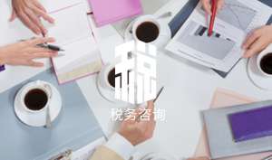 蕪湖繁昌區稅務咨詢提供的四種信息