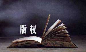 蕪湖繁昌區(qū)軟件著作權(quán)的價(jià)值演化趨勢(shì)及其成因分析